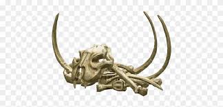 Head Bone Png Transparent Bones Png Png Download 1024x622 998234 Pngfind Piles of bones composed of.