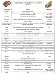 herb companion planting chart herbal gardens