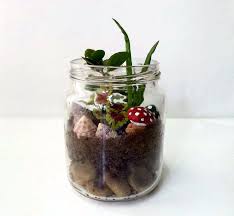 We did not find results for: Diy Garden In A Jar How To Make A Terrarium Home Diy On Cut Out Keep
