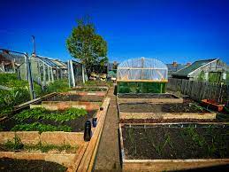 7 Steps To Starting Your Own Allotment | The Good Allotment Life