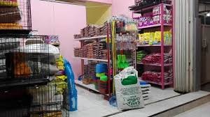 Maybe you would like to learn more about one of these? Nama Toko Hewan Yang Bagus Nama Petshop Yang Top Bisikanbisnis