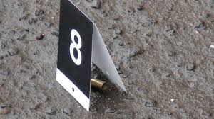 Najpierw dwaj mężczyźni wtargnęli do mieszkania swojego brata, zdemolowali wszystkie pomieszczenia, a później oddali w jego stronę kilka strzałów. Strzelanina Zabrze Artykuly Zabrze Nasze Miasto