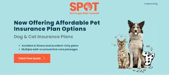 Comparing pet insurance plans for your dog or cat doesn't have to be difficult. Spot Pet Review Top Pet Insurance