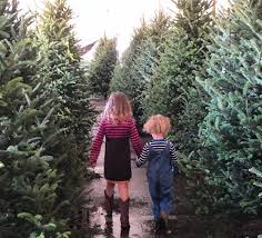 Check spelling or type a new query. 21 Christmas Tree Farms And Santa Villages To Visit In Central Florida This Holiday Season