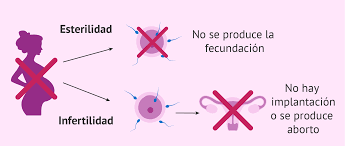 Que Es La Esterilidad Causas Diagnostico Y Tratamiento