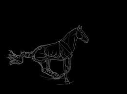 Tumblr O7f0j4ppni1r68cs5o1 500 Gif 500 372 Rotoscope Animation Rotoscope Horse Animation