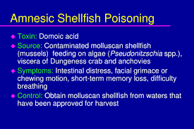 Image result for Amnesic Shellfish Poisoning