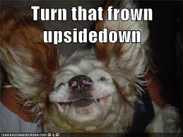 Watch a mate just told me that when turned upside down, the chicago bulls logo looks like a robot violating a crab. I Has A Hotdog Upside Down Dog Funny Dog Pictures Dog Memes Puppy Pictures Pictures Of Dogs Dog Pictures Funny Pictures Of Dogs Dog Memes Puppy Pictures Doge Cheezburger