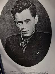 Aidan's Tale from beyond the Pale￼