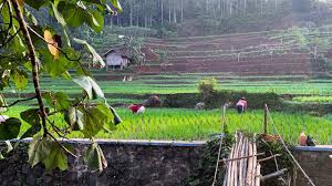 Senin, 30 maret 2020 add comment edit. Sungguh Indah Pemandangan Alam Di Kampung Cantik Dan Bersih Suasana Pedesaan Jawa Barat Garut Youtube