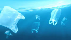 Related image