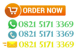 Batang lidah buaya ini termasuk batang dikotil. Jual Lidah Buaya 0821 5171 3369 Agen Lidah Buaya Harga Lidah Buya Penjual Lidah Buaya Beli Lidah Buaya Lidah Buaya Murah Tempat Jual Lidah Buaya Manfaat Lidah Buaya