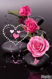 Explore the collection of flower images for whatsapp profile given here, download the best one and set it as your whatsapp profile picture now! Tagged Beautiful Rose Flowers Beautiful Roses Beautiful Flowers Wallpapers