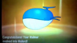 Wailmer Is Evolving Pokemon Sun