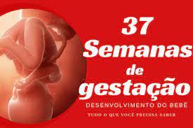 37 Semanas De Gestacao Cantinho Infantil Da Mamae