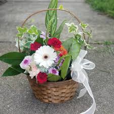 Fresh cut flowers for florists. Dish Garden Fresh Cut Flowers By Eufloria Florist