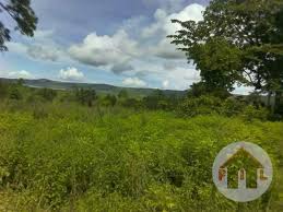 Welcome to our listings of new zealand farms for sale. Agricultural Land For Sale In Kashaka Mbarara Uganda Code 46752 03 06 2021
