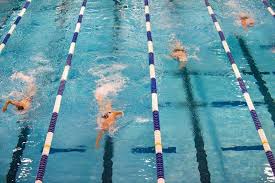 Piscine Municipale Jean Langet Activites Et Equipements Rochefort Infiniment Charentes