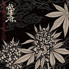 舐達麻 (NAMEDARUMAAZ) – FLOATIN' Lyrics | Genius Lyrics