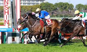 【チューリップ賞】２番人気タイセイボーグが大接戦を制して重賞 ...