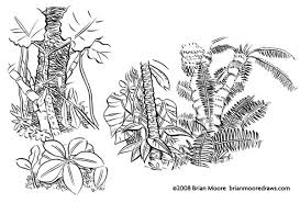 15 Awesome Jungle Plants Drawing Images Plant Drawing Drawing Images Drawings