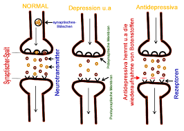 Deswegen ist eine realistische einschätzung nach dem motto antidepressiva wirken erst nach wochen (insbesondere bei schweren depressionen) sicherlich nicht verkehrt. Antidepressiva Gut Oder Schlecht