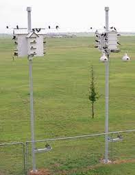 Purple Martin Birdhouse Poles Anderson Cc Purple Martin Birdhouse Purple Martin House Purple Martin House Plans