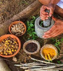 Most of these herbs and food for hair growth are present in your kitchen shelf at all times. Neelayadi Hair Oil 100 Traditional Ayurveda Recipe Treatment For Hair Loss Split Ends Premature White Hair And Hair Fall Improves Texture And Shine Of Hair Improve Vision 180ml Buy Sell Online