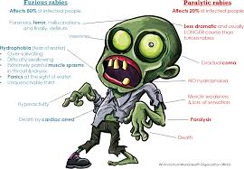 Syarikat my haiz sdn bhd dimiliki oleh orang islam. Haiz Is Killing Dogs The Only Way To Stop Rabies In Malaysia Update