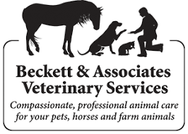 Sometimes, an issue with one part of your Beckett Associates Animal Hospital Our Mission Statement