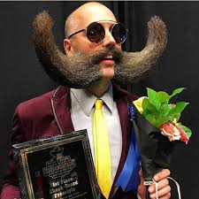 Verdens lengste slange skal flyttes til. Eavisa