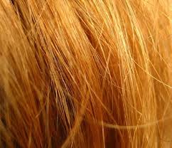 Die zahl 187 ist die nummer des paragrafen im kalifornischen strafgesetzbuch, der mord behandelt. Dna Verrat Haarfarbe 13 Neu Identifizierte Gen Marker Erlauben Ruckschlusse Sogar Auf Den Haarton Scinexx De