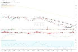 Petmed Express Stock Retests Lows After Earnings Miss
