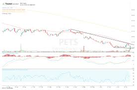 petmed express stock retests lows after earnings miss