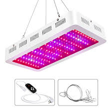 It helps the plants with photosynthesis. Lightimetunnel 1000w Led Grow Light Full Spectrum Dual Chip Growing Lamp With Timer For Hydroponic Indoor Plants Veg And Flower Buy Online In Honduras At Honduras Desertcart Com Productid 101602793