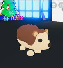 If you turn four fully grown pets into a neon pet, then the process will essentially start over again, but the ages will be different. Well Again I Am Looking For Hedgehogs Any Age Any Type Normal Neon R F Any Kind So Please Feel Free To Tell Me What You Like For Your Ones