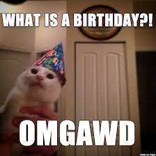 Party Cat Meme On Imgur