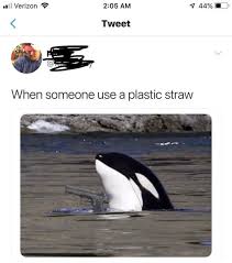 When Someone Uses A Plastic Straw Memes Best Funny Photos Funny Photos Memes