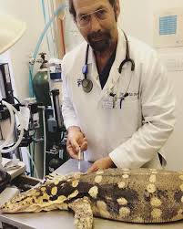 Check spelling or type a new query. Riverside Animal Hospital