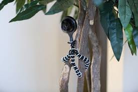 In our house we are a large family or 7 (up to 9 on weekends) and a packets of biscuits often only last hours and it's normally the big kids smashing them me. 12 Ways To Hide Your Nest Home Security Camera 2021