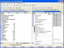 The main window features a simple, classic design that poses no accommodation problems. Download Total Commander 9 51