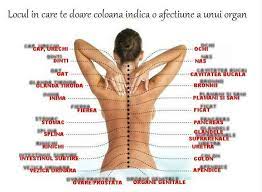 Atunci cand apare, indiferent de natura, este de preferat ca durerea sa nu fie ignorata, caci este un semnal de alarma pe care corpul tau il trage atunci cand ceva nu este bine. Dureri De Spate Photos Facebook