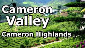 Sambil menikmati pemandangan ladang teh, sedap juga jika 1minum teh susu panas dan minum kopi. Cameron Valley Cameron Highlands Malaysia Youtube