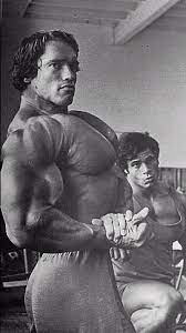 In 1980 was a tie but the physique and posing was better by arnold to win fair and square in 1980, but 1970 and 1975 are definitely debatable years sergio was better in 1970 and franco was better in 1975 in the pumping iron video. Arnold Schwarzenegger And Franco Columbu Posing At Gold S Gym Built Report