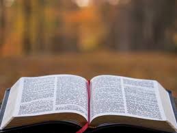 Image result for images Honor God