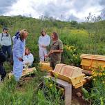 Natural Beekeeping Workshop