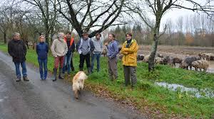 L'élevage des cochons en plein air, dans les bois de saint martin de caralp. Porc Des Mesures De Biosecurite Inadaptees Au Porc Plein Air Journal Paysan Breton