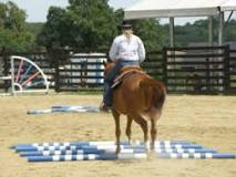 Image result for what is the first step involved in laying out a jumping course
