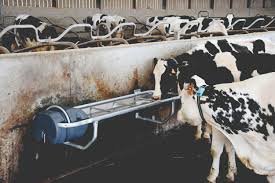 National gallery of art, washington dc washington, dc, united states. Abc De L Abreuvoir L Eau Cette Source De Vie Cooperateur