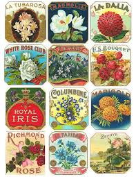 Vintage Free Printable Public Domain Antique Floral Cigar Box Labels Great For Your Essential Oil Vintage Printables Free Vintage Printables Vintage Labels